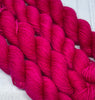 Pretty Minis - Smooshy with Cashmere Miniskein Club - Single Skeins