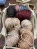 Easy V Sweater Yarn Pack - Malabrigo Rios