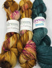 Butterfly / Papillon Shawl Kit - Dream in Color Smooshy with Cashmere